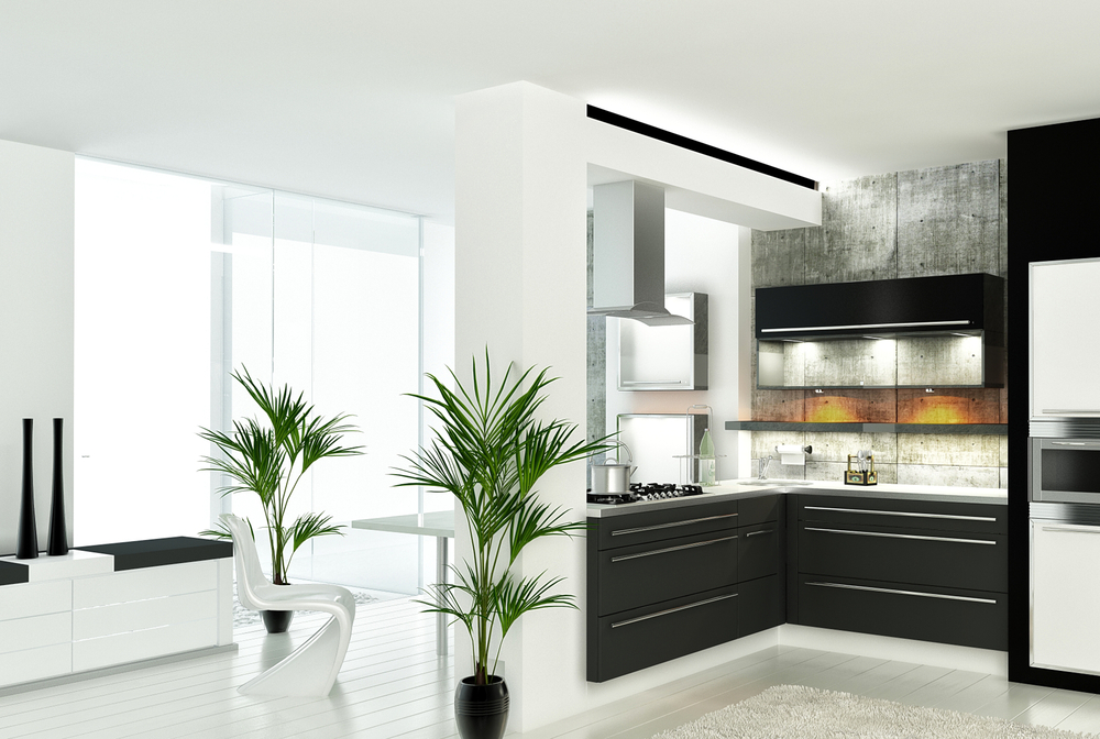 forever design mono kitchen