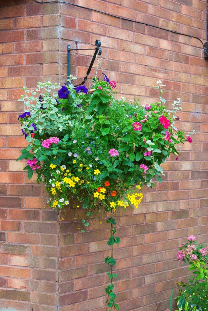 Six tips to spruce up a small garden in time for summer - Property ...